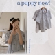 22S/S 預訂｜JUUNEEDU PUPPY 格仔紋短袖睡衣套裝 2color