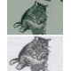 23S/S 預訂|AMBLER FAT CAT T-SHIRTS 23S/S 預訂|AMBLER FAT CAT T-SHIRTS