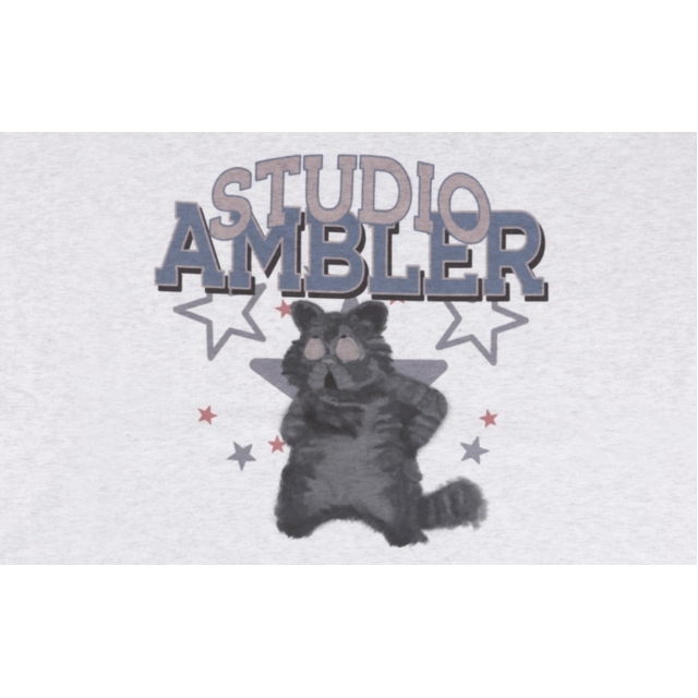 23S/S 預訂｜AMBLER PLAYFUL CAT T-SHIRTS