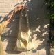 預訂|SECOND MORNING LEMONADE! Tote Bag 預訂|SECOND MORNING LEMONADE! Tote Bag